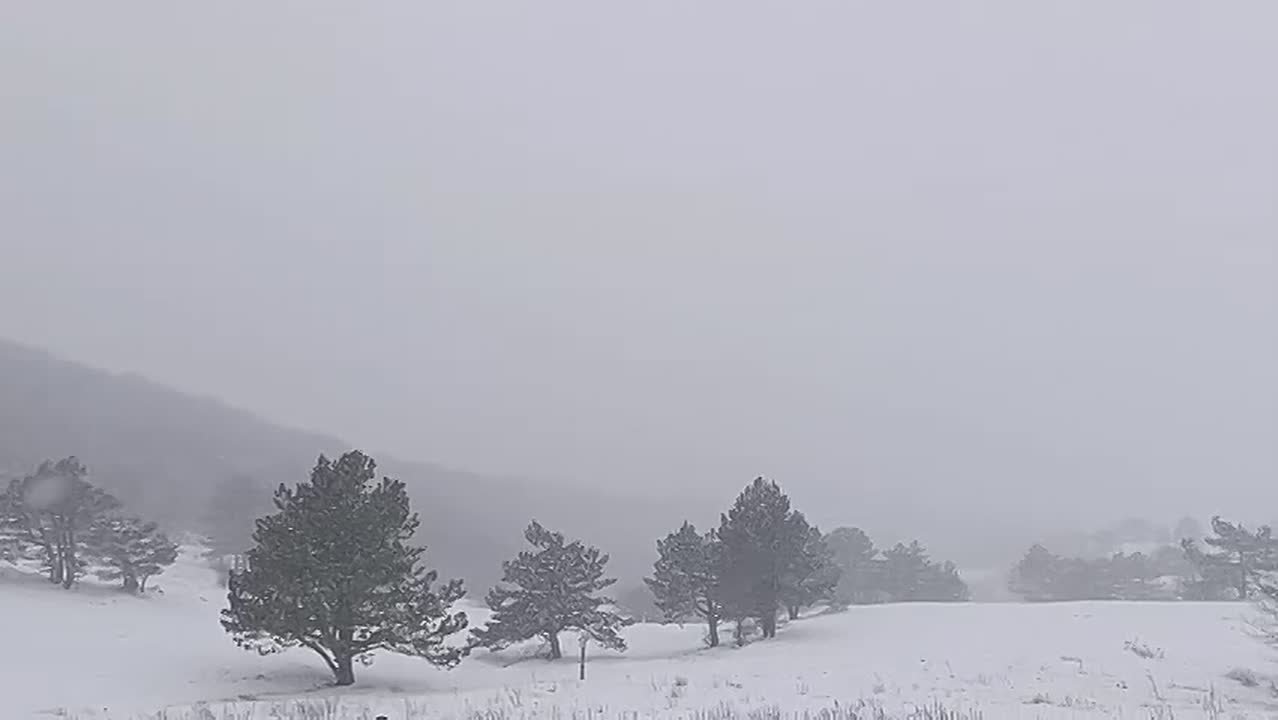 В горах Крыма — настоящая зима со снежным покровом в 13см