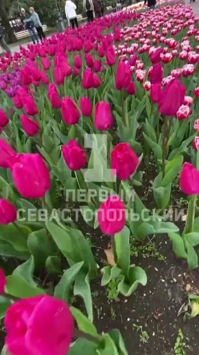 �� ���������� �������� � ����������� � ��� �������� ���������