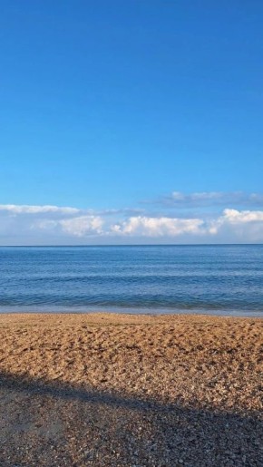 �������� �������� ������. ������ � ������ ���������� ����������