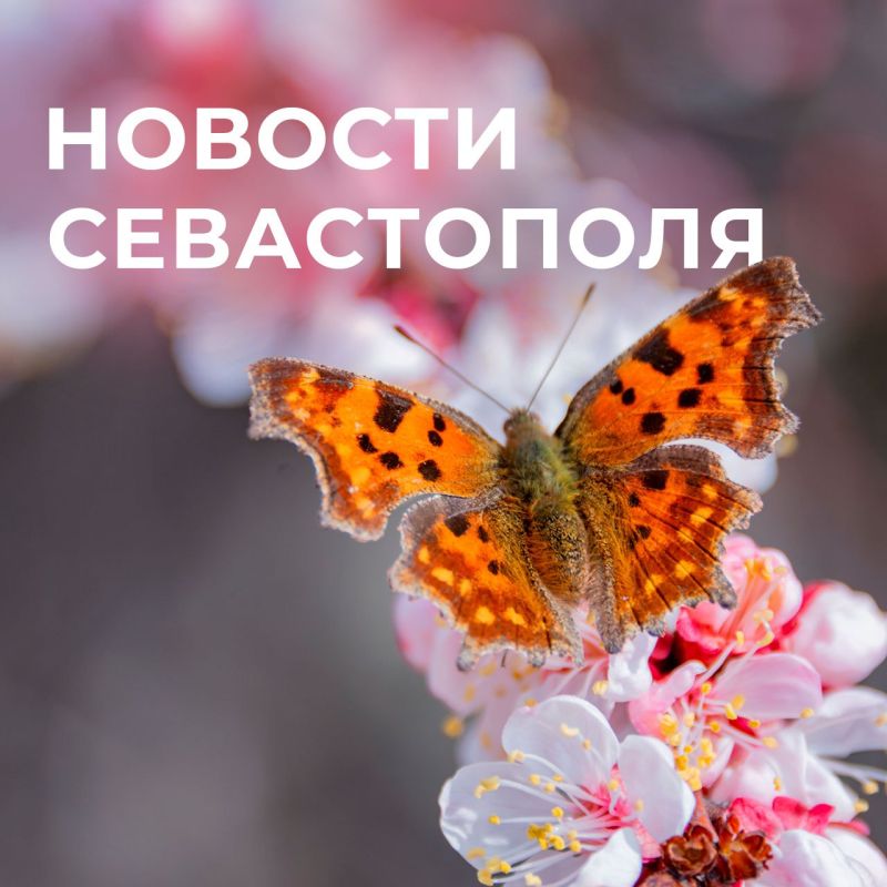 ������ ���������: ������� � �������:. ������� ��������! �������� ��������! � ����������� ��������� �������� �������� �������� �����������