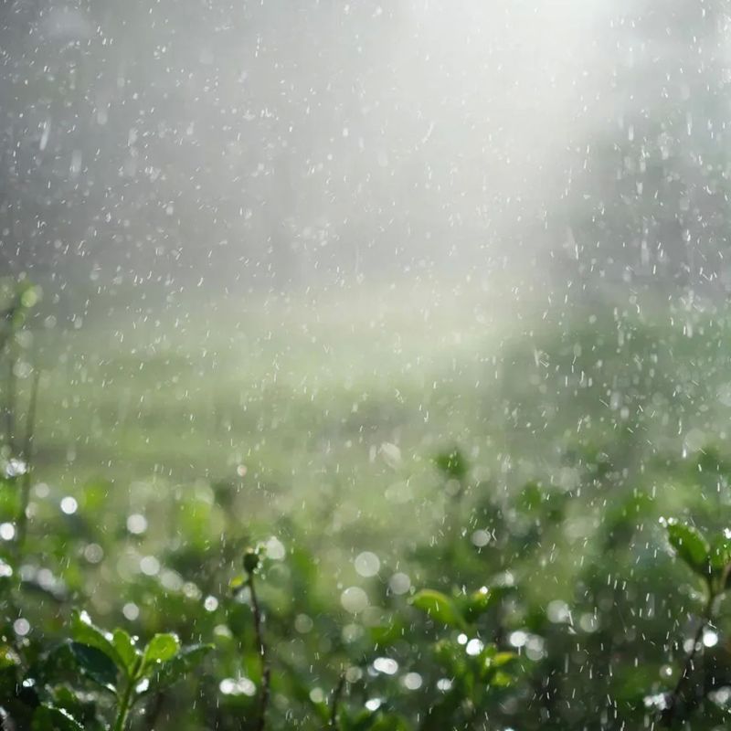 ������� ������ � ����� �� 13 ������