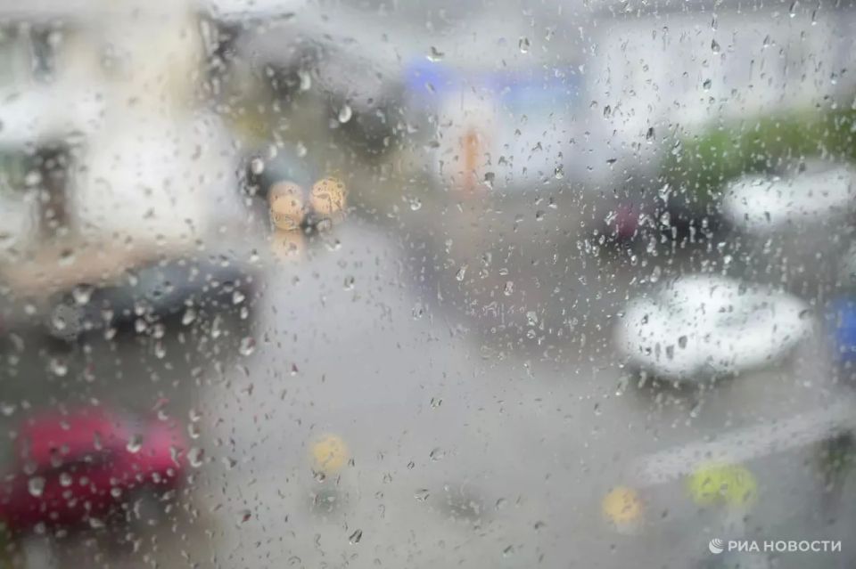 ������� ������ � ����� �� �����������