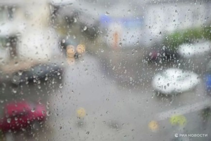 ������� ������ � ����� �� �����������