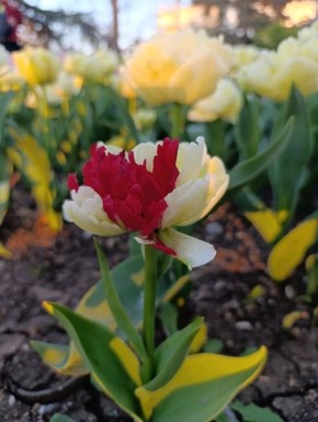 ���������! �������� ����� ��������� � �����������