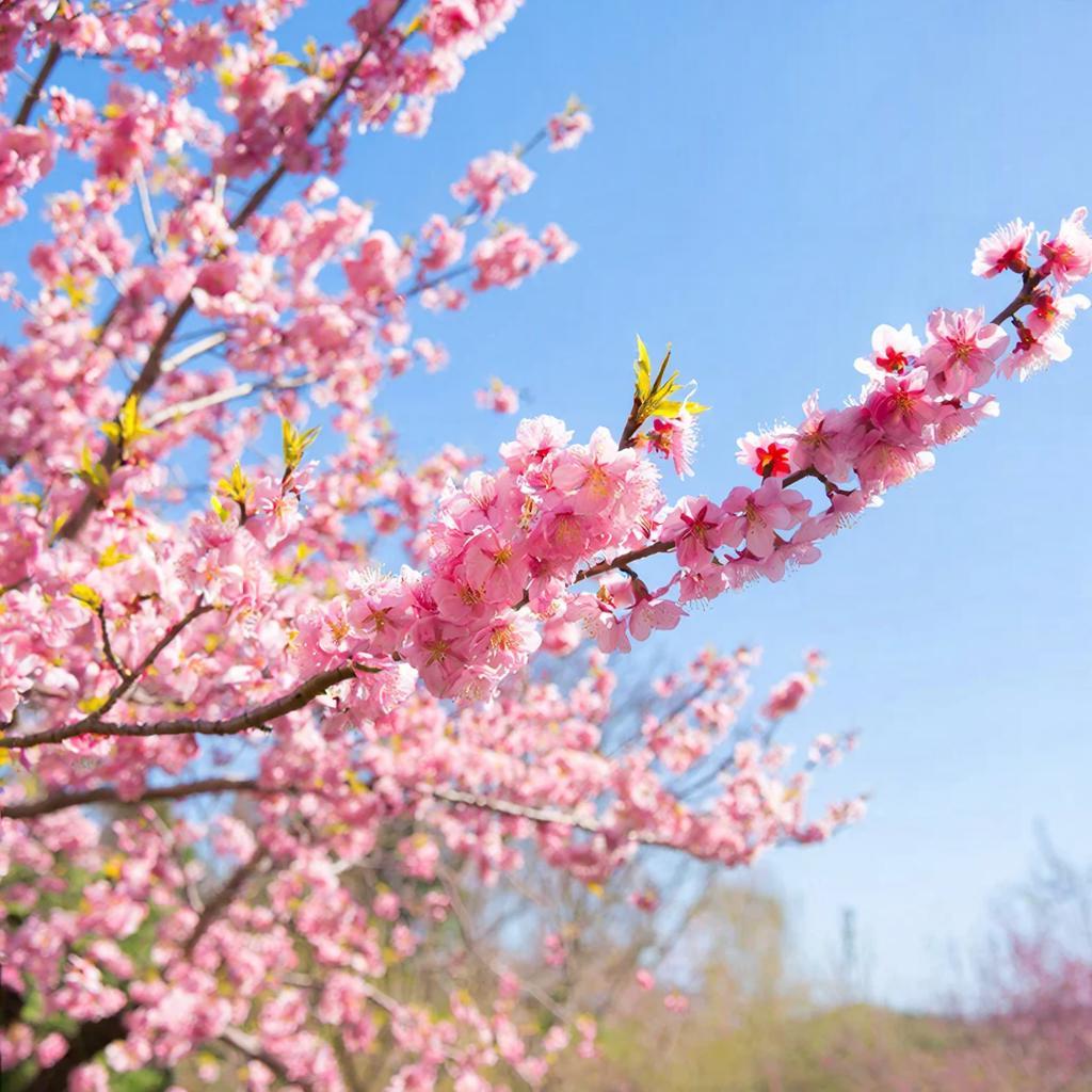 Прогноз погоды в Крыму на 14 апреля