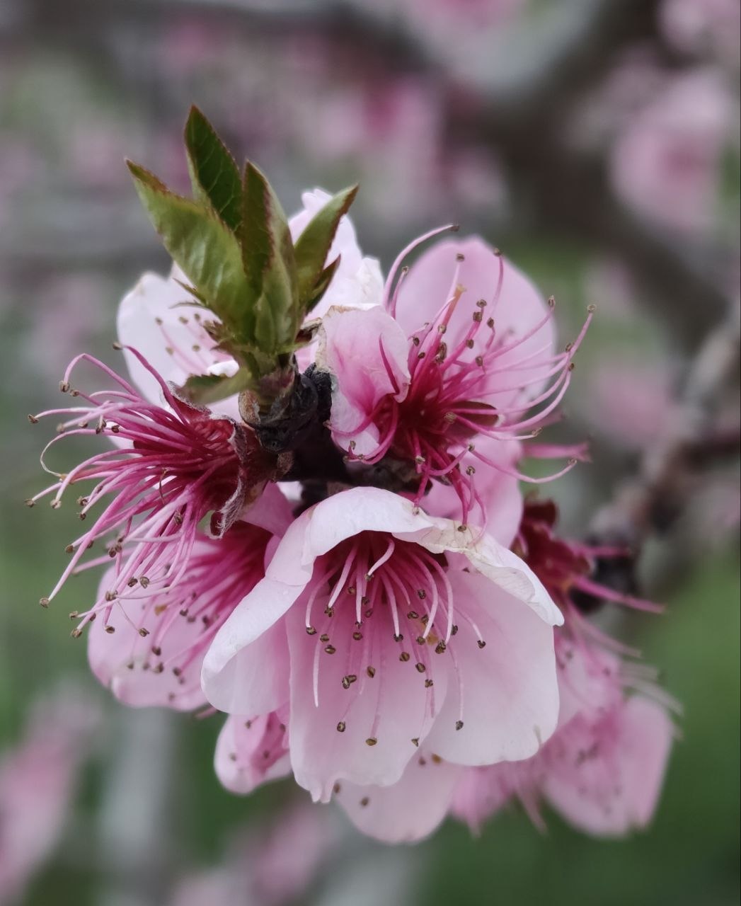 Всем бодрого настроения в этот вторник! Всем бодрого настроения в этот вторник!