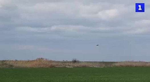 ����� �����������: � ���������� ������� ��������� �����