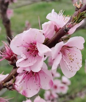 Всем бодрого настроения в этот вторник!