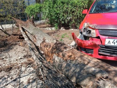 C���� ������ ���� �� ����� ���� �29 �� ��. ������