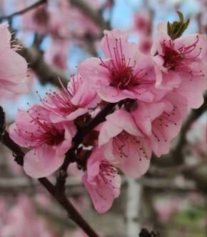 Всем бодрого настроения в этот вторник!