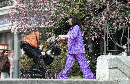 ������� ������ � ����� �� �������