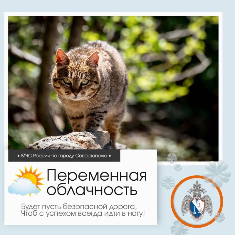 ����������, �����������!. �� ������ ��������������, 14 ������ � ����������� ����� ���������� ����������