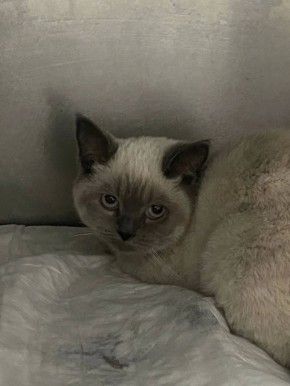 ������� ���������: ���� ���������� � ���� ��������, �������, � �������, ����������� ������������, �� ������ ����� ��������� ������ ��� ���� ���