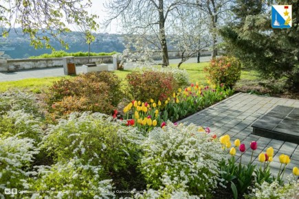 ����������� ������� � ������� �������� � ������� ������������ ������������ ����� ����