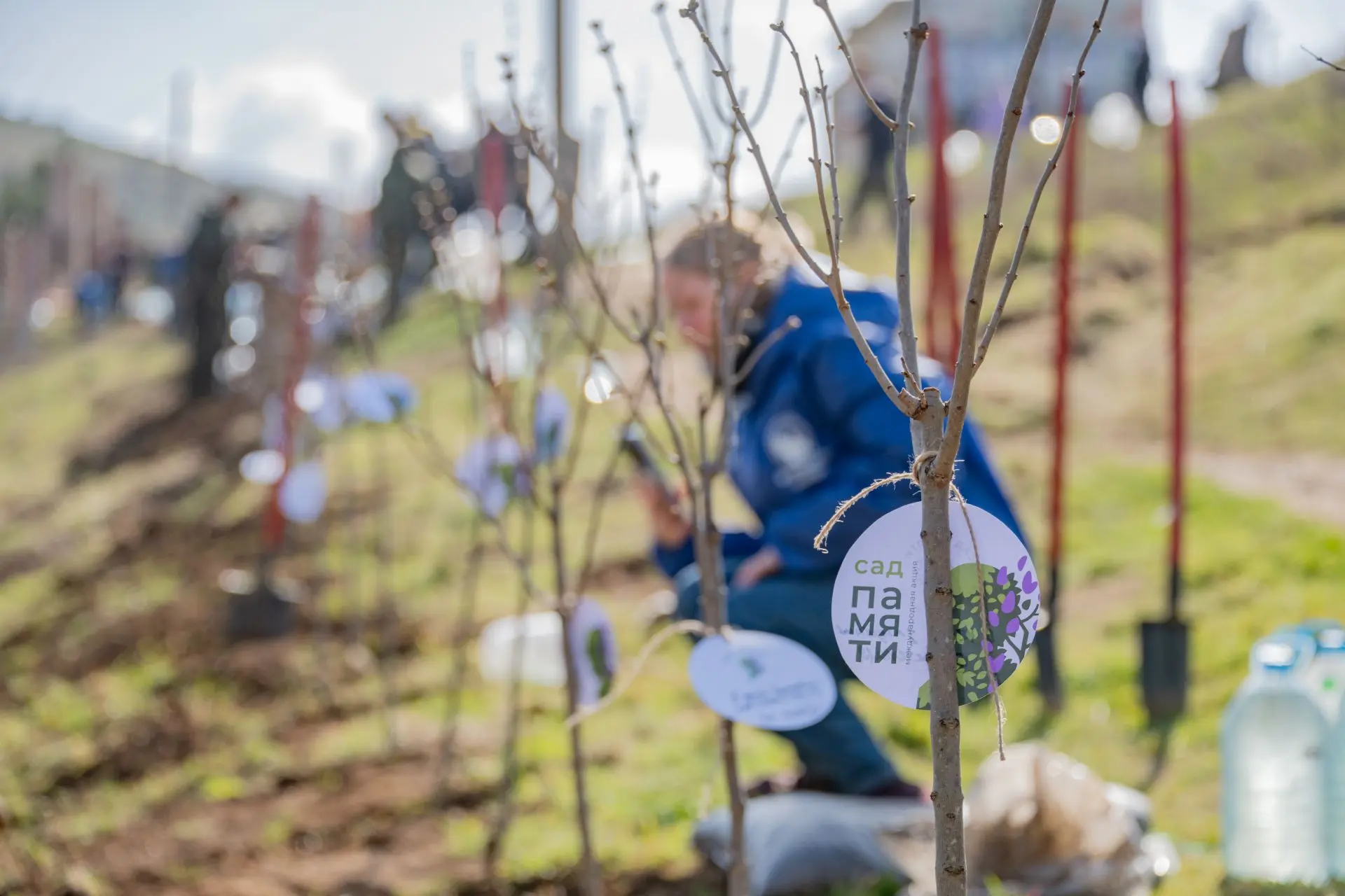15 апреля — День экологических знаний! 15 апреля — День экологических знаний!