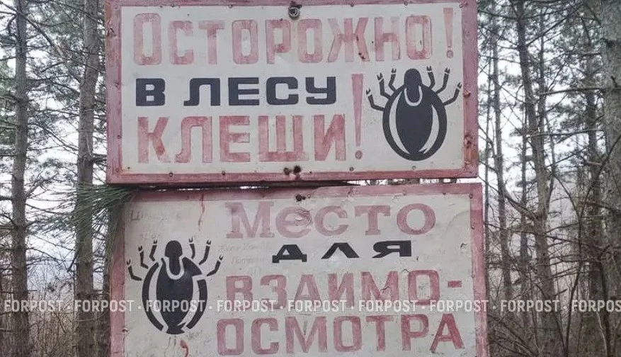 Сезон клещей в Крыму стартовал аномально рано