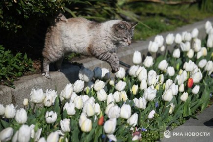 ������� ������ � ����� �� �����