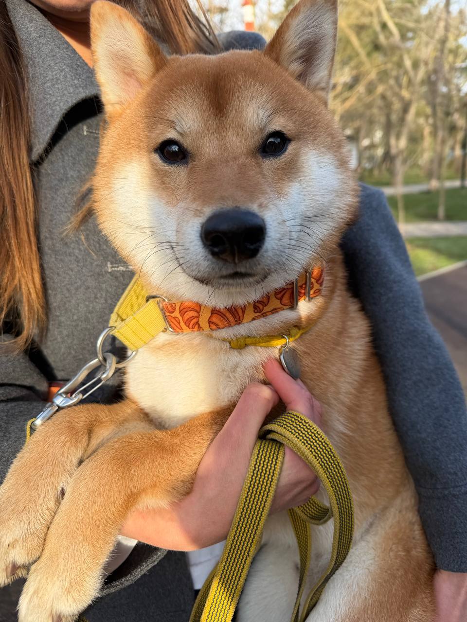 Николай Приставка: Подводим итоги государственной ветеринарной клиники за первый квартал Николай Приставка: Подводим итоги государственной ветеринарной клиники за первый квартал