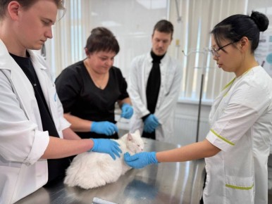 ������� ���������: � ����������� ������� ������� ��� ������ ������� ������� �����������