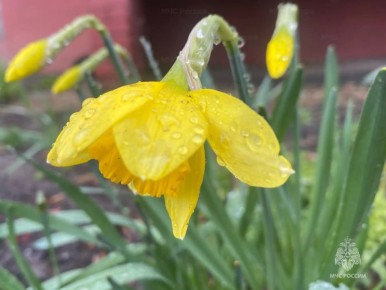 � ������� � ������� ��������� ��������������� �����