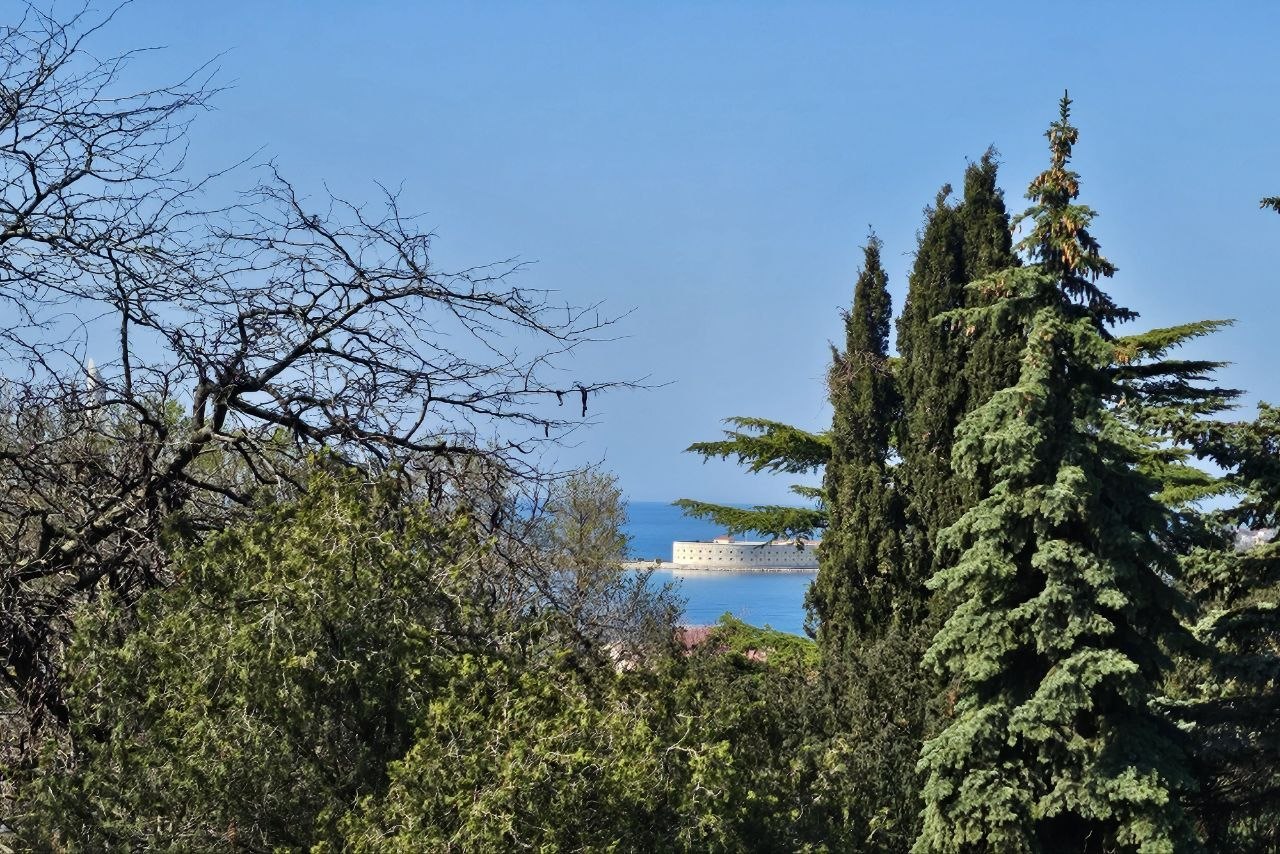 Доброго утра и хорошего дня!