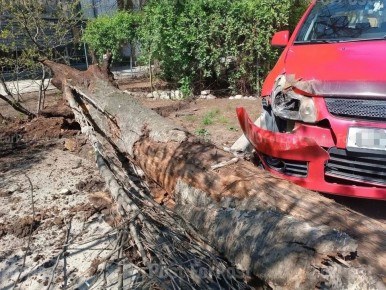 ����������� ������� �������� �� ���������� � ����������� ����������� � ���������� ������� ������ �� ����� ������ � ����������� ___