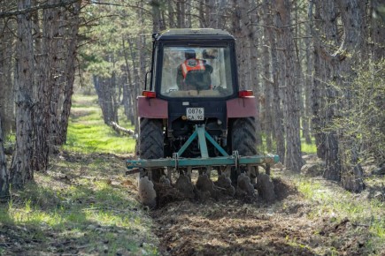 Михаил Развожаев: Обновляем минерализованные полосы в Мекензиевском участковом лесничестве
