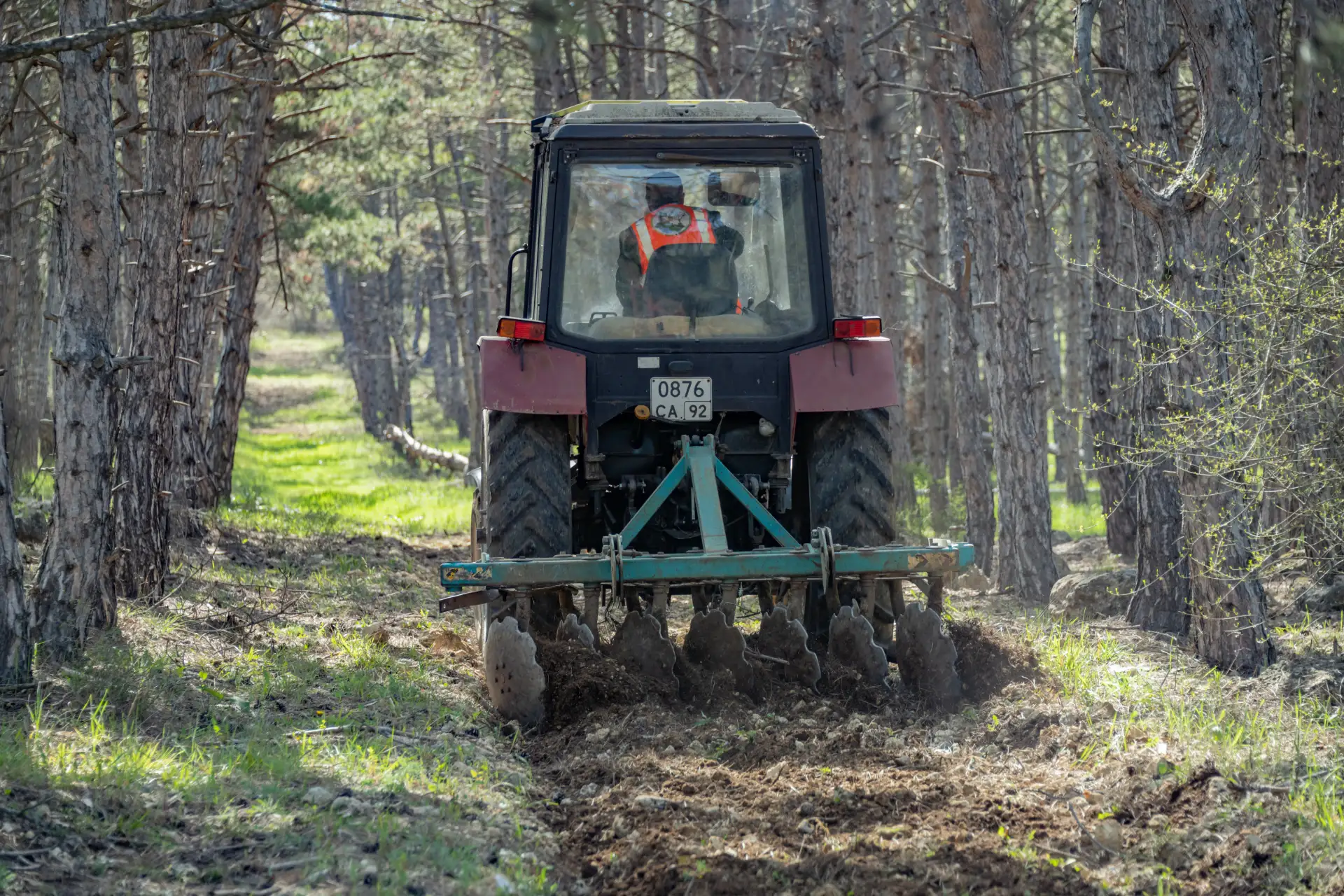 Михаил Развожаев: Обновляем минерализованные полосы в Мекензиевском участковом лесничестве