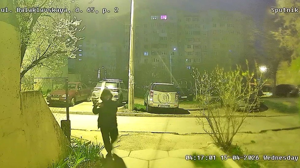 В симферопольском дворе мужчина огромной доской избил до полусмерти дворового пса Мишку