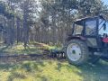 Защищаем лес от огня!. В Мекензиевском лесничестве продолжают обновлять минерализованные полосы и противопожарные разрывы в хвойных насаждениях