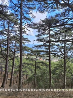 #���_�����. ������� �������� � ������� ��������� � ����� �� ����� �������. � ����� ������ ������, ��� ����������� � ������ �� �������� �������. ����, �����, � ������� ����������� ��� �� ����