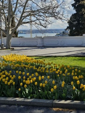 ������� ����, ������!. � ����������� 17 ������ ��� �������