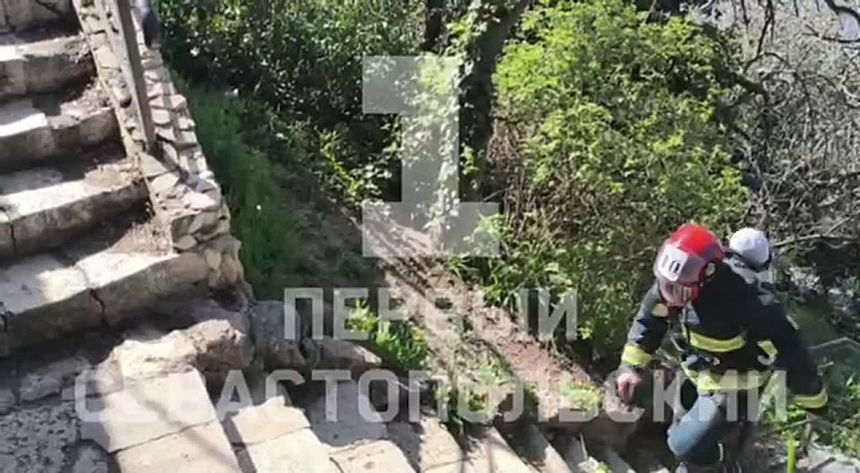 � ����������� ���������� ��������� ������������ �������� ������������ �����