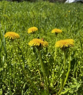 ������� ������ � ����� �� 17 ������