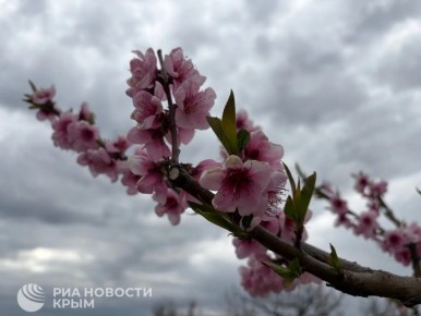 ������� ������ � ����� �� �����������