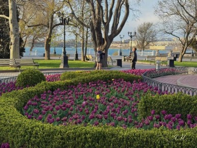 �������: ��������� ������� ������-�����