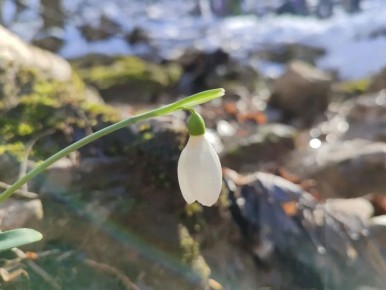 19 ������ � ���� �����������!