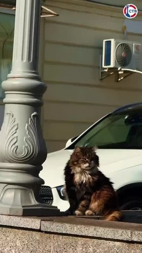 ����������� ������������ ����� �� ������