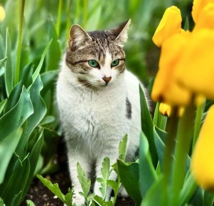 ����� 90 �������� �������� ������ � �������������� ����������� �� ������