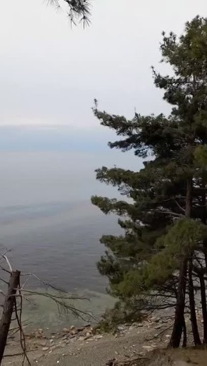 ����� ��������� �����, ������������� � ������ ���� �������� �� ����� ������, ���������������� � ����