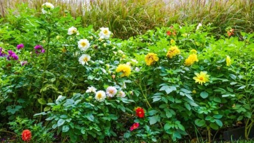 ��������� ������� ��� ��������������� ����� - ��� ����� ��������� ���� ������������� ������������ � ����