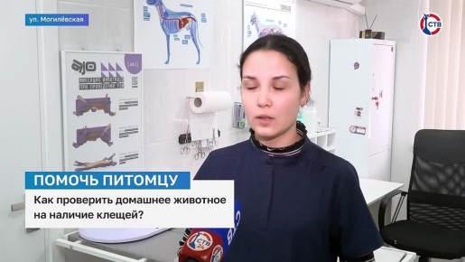 � ������������ ������ ������ ���������������� ����� � ������ � ���� ������� ����� ��������� � ������������ ������� �����������