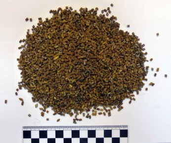 ���������� ������� �� ����� ��� �� �������� ���������� �������