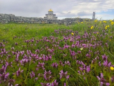 � ������ ����� ��������!. � ����������� ���� ��������� �����