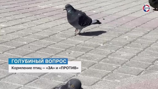 ������� ������� � ������������ ������: ��� � �������