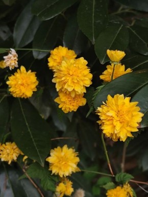 ����� ������������ � �����������!