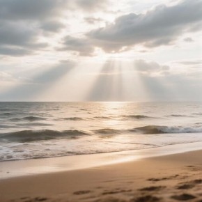 ������� ������ � ����� �� 24 ������