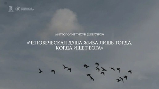 ������������ ���������