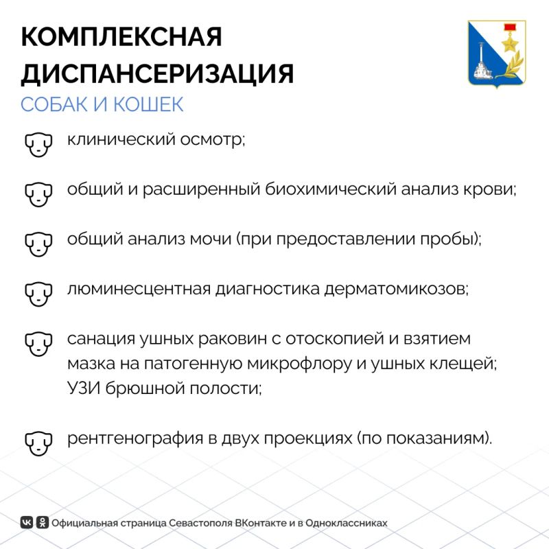 На выходных в Балаклаве от бешенства вакцинировали 212 домашних животных На выходных в Балаклаве от бешенства вакцинировали 212 домашних животных