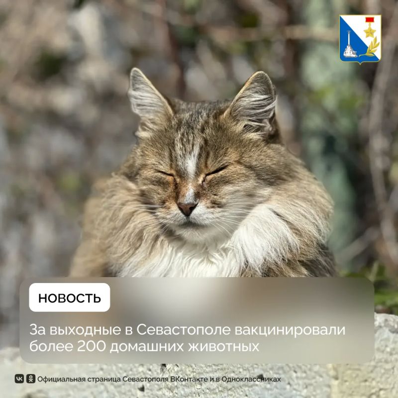 �� �������� � ��������� �� ��������� ������������� 212 �������� ��������
